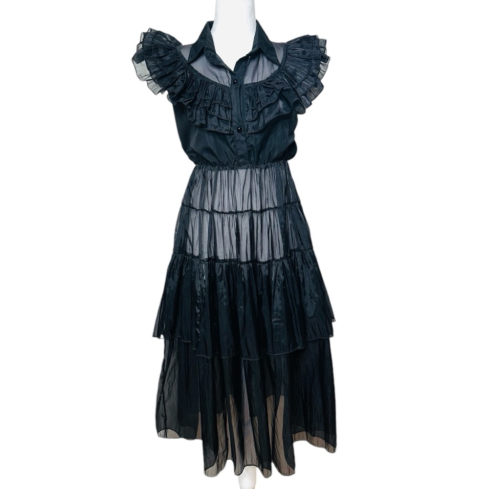 VINTAGE SHEER RARE RUFFLED DRESS